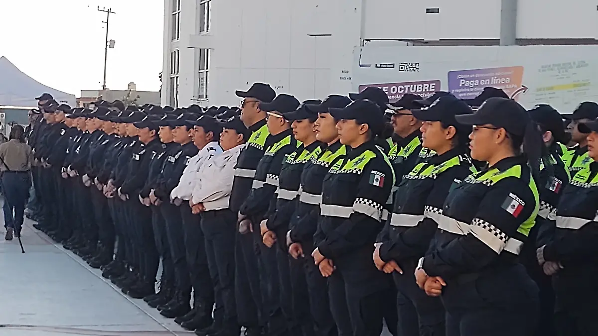 Añadir un título (19)