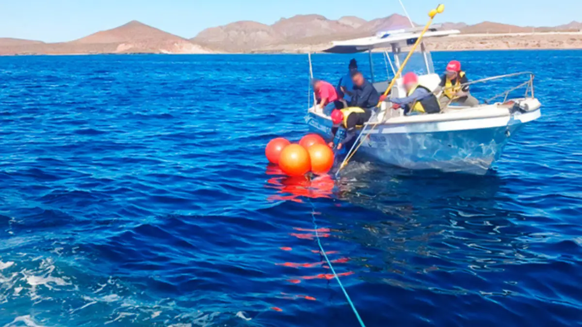 Portada Web Semanario (20)