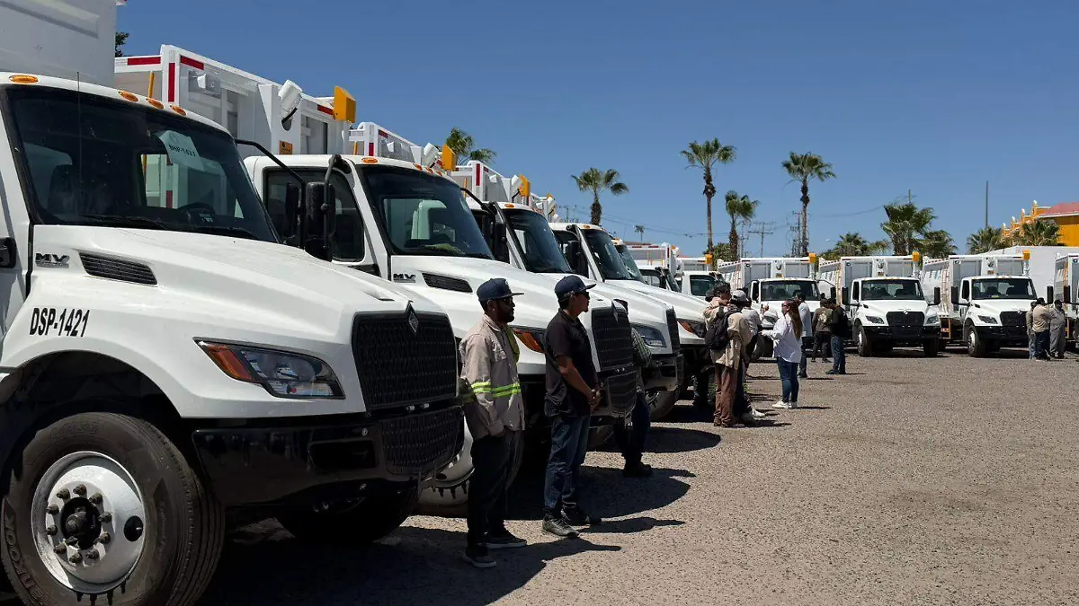 WhatsApp Image 2026-03-21 at 10.25.35 AM