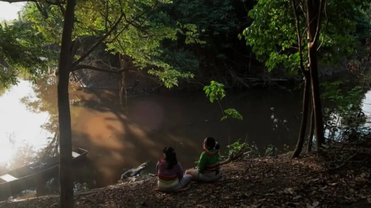 Mujeres sentadas en el bosque