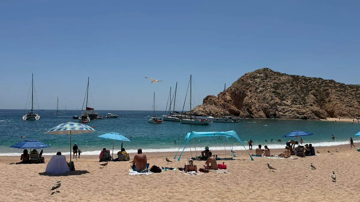 WhatsApp Image 2026-03-24 at 8.28.19 PM