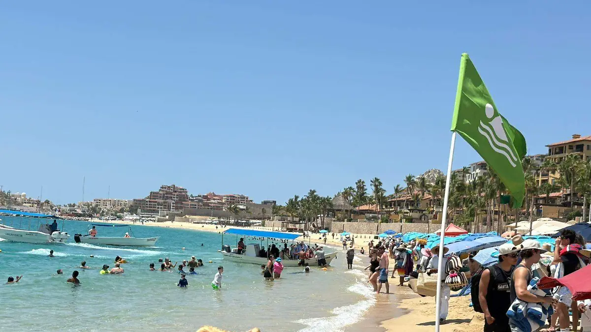 WhatsApp Image 2026-03-25 at 11.04.00 AM