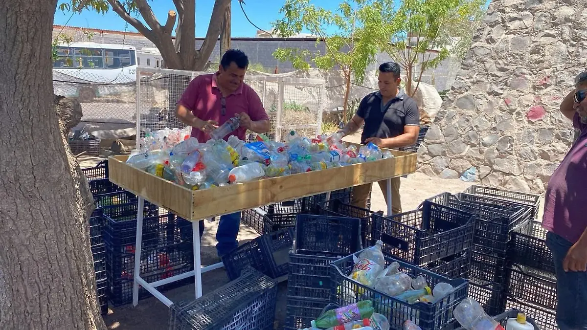 Añadir un título (72)