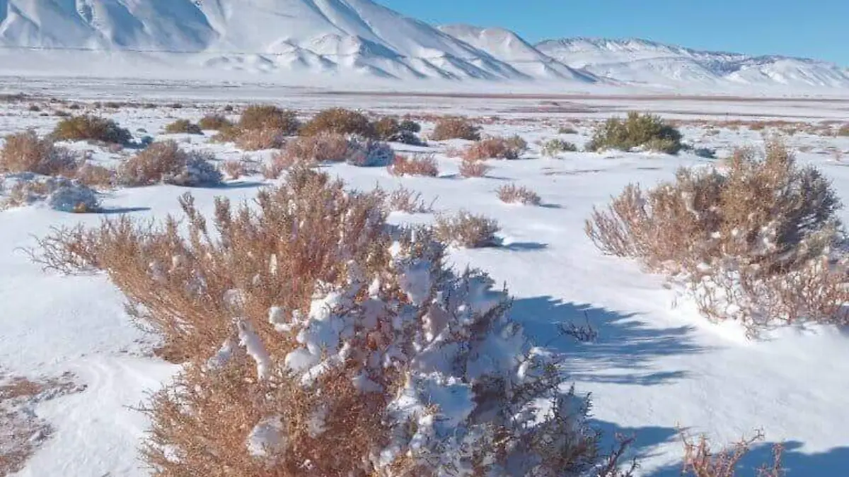desierto-puna-salteña-altas-temperaturas