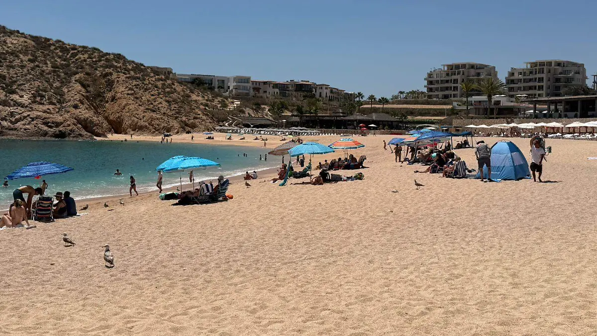 WhatsApp Image 2026-03-30 at 3.56.33 PM