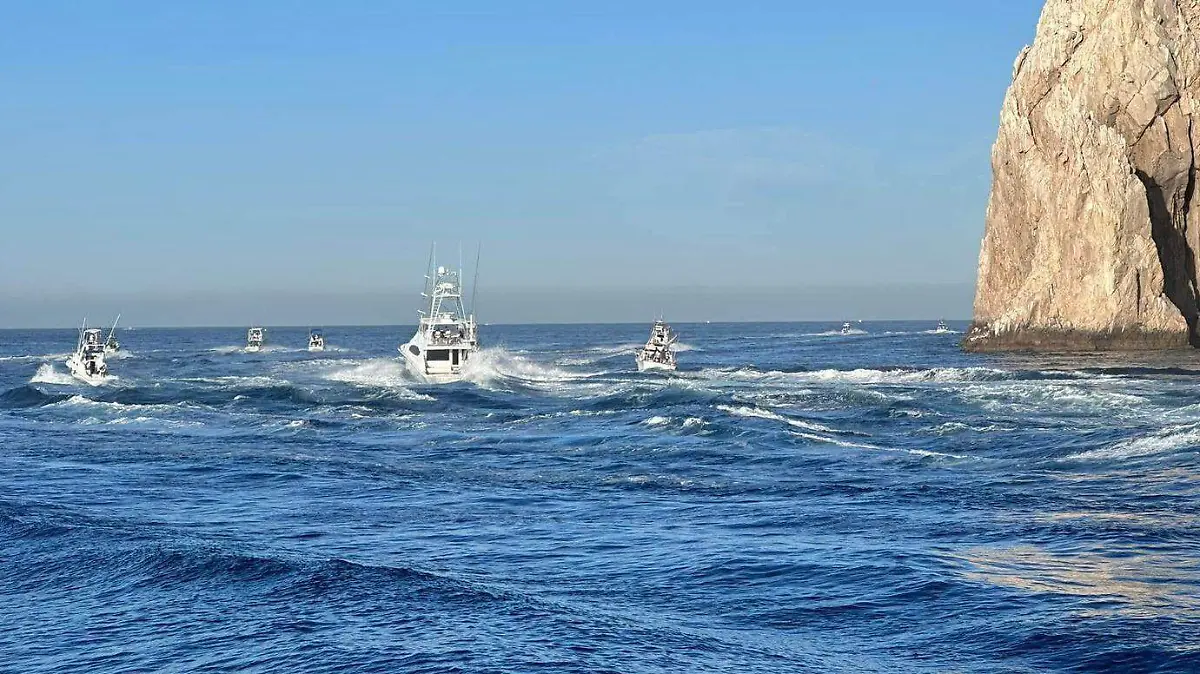 WhatsApp Image 2026-03-31 at 3.09.36 PM