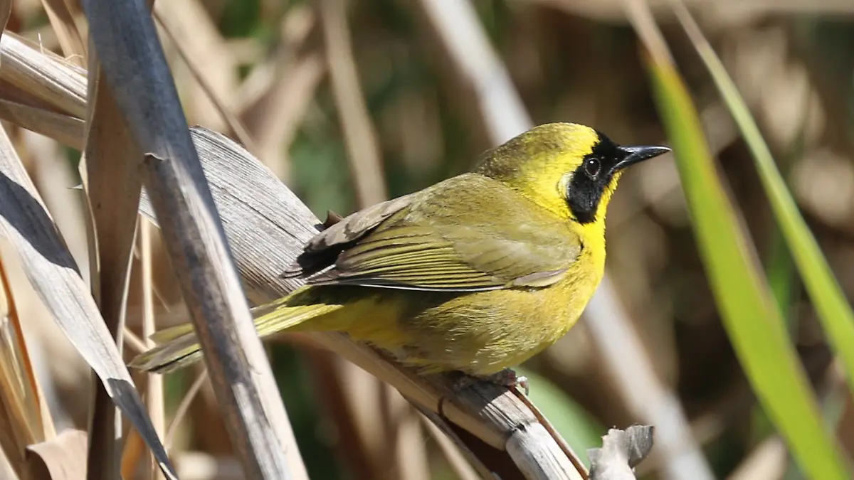 Añadir un título (84)