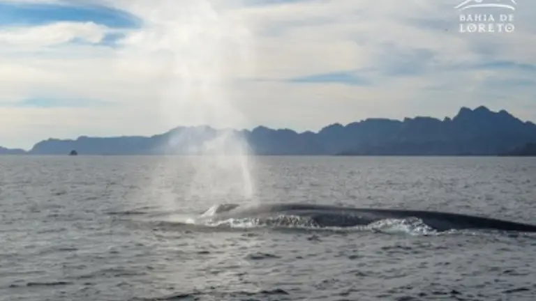 Añadir un título (88)