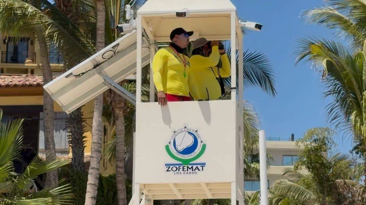 WhatsApp Image 2026-04-01 at 3.10.15 PM