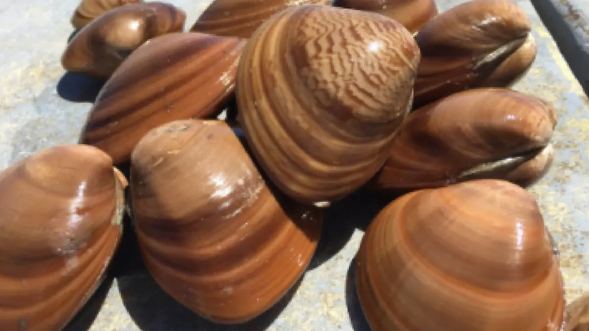 6A1720C9-FD80-4B78-9BE0-2FA8ED0DA1D3