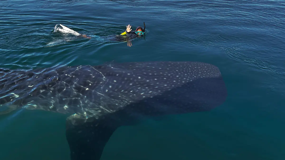 Añadir un título (87)