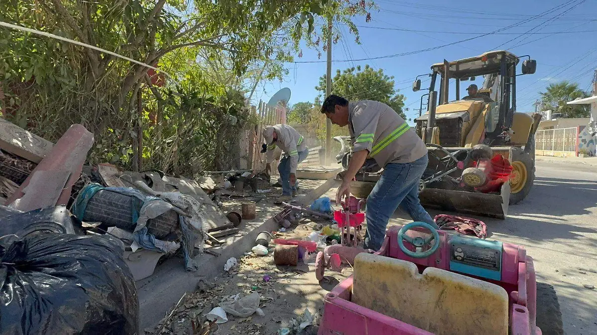 WhatsApp Image 2026-04-03 at 10.39.10 AM