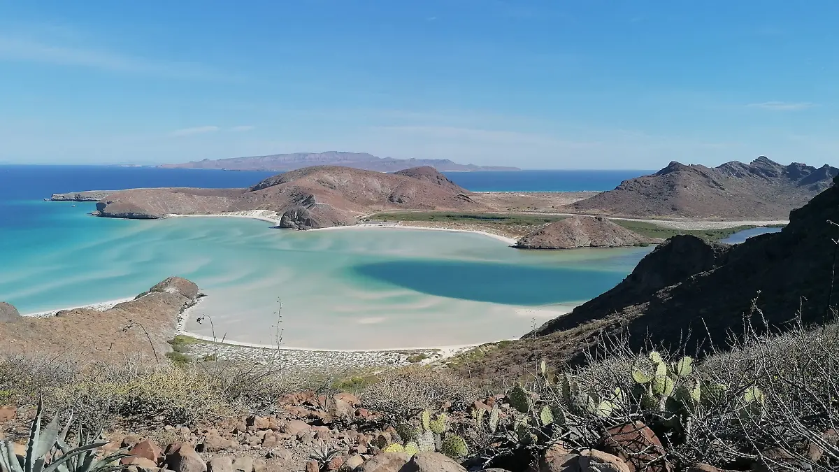 Añadir un título (91)