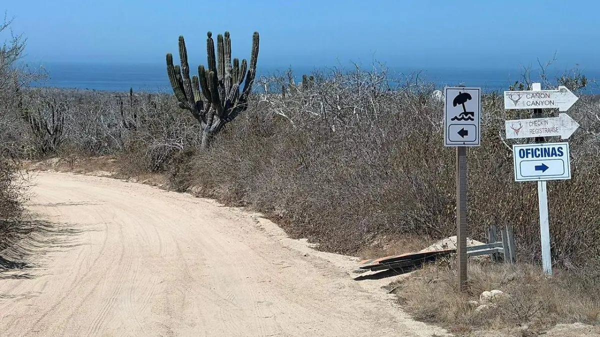 camino-playa-san-cristobal-los-cabos