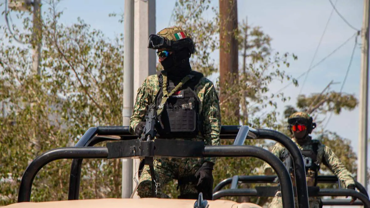 71d62133-eb5f-47c0-bde6-e53a1fa53b70