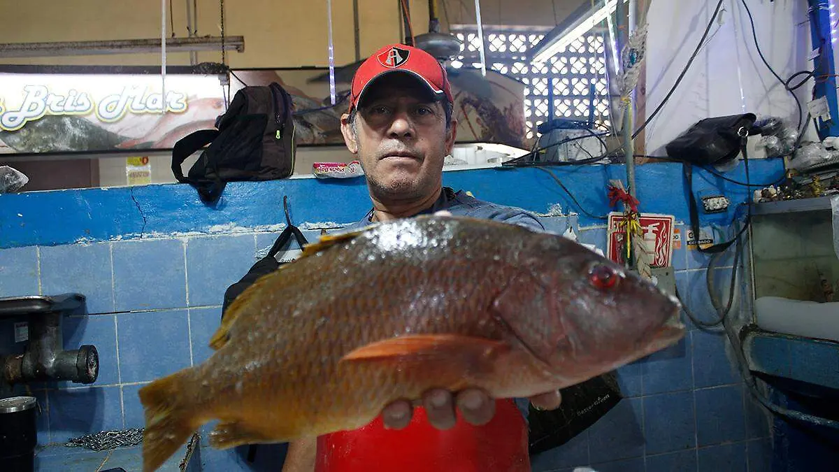 alfredo-navarro-encargado-pescaderia