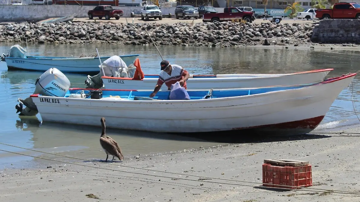 Añadir un título (99)