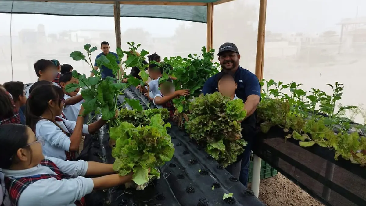 Portada Web Semanario (5)