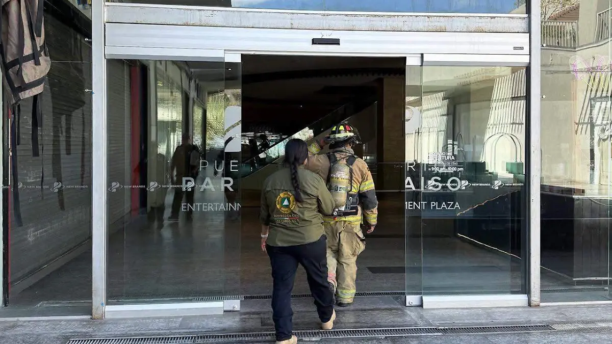 WhatsApp Image 2026-04-08 at 3.00.43 PM