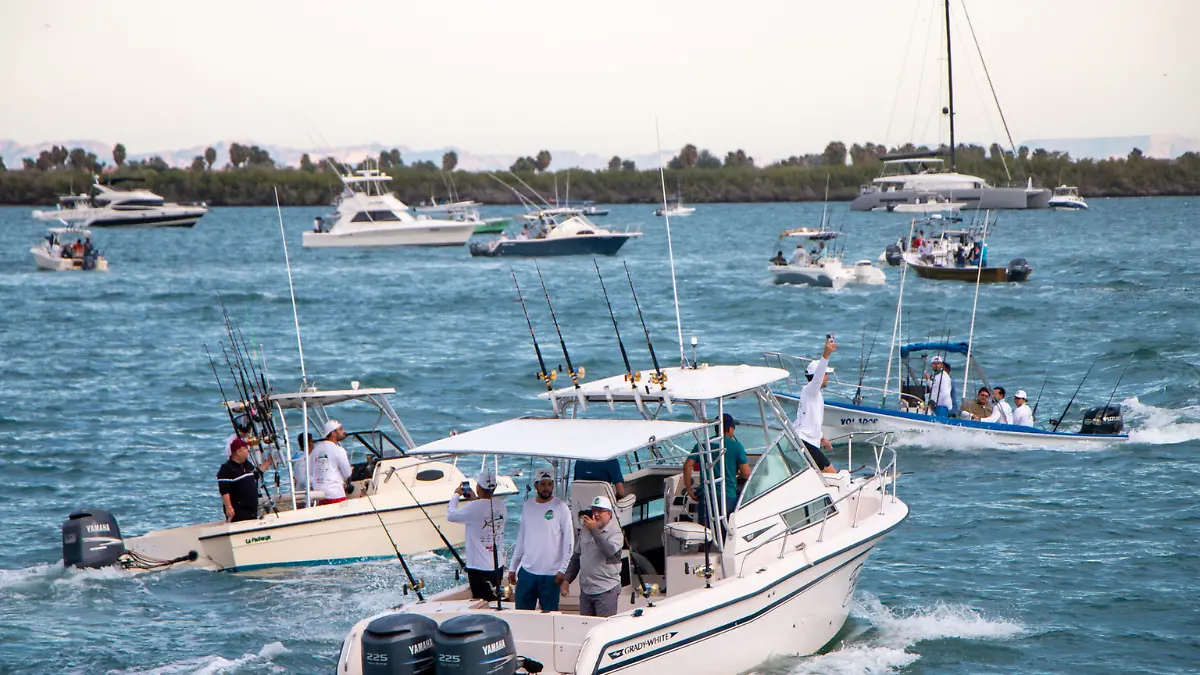 Añadir un título - 2026-04-08T145051.306