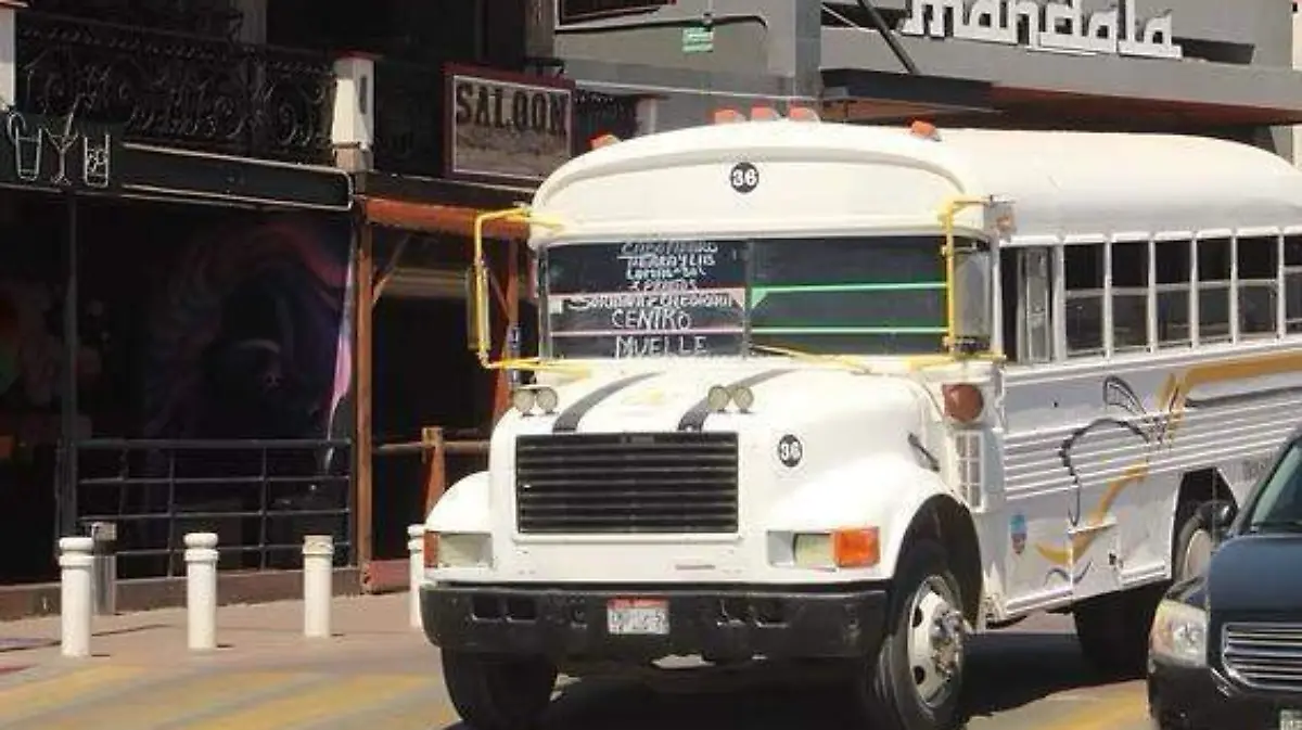 WhatsApp Image 2026-04-09 at 2.12.12 PM