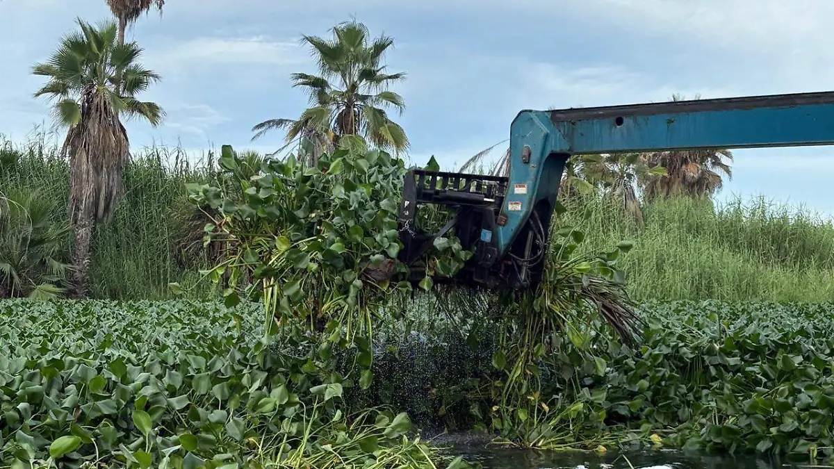 WhatsApp Image 2026-04-09 at 2.48.38 PM