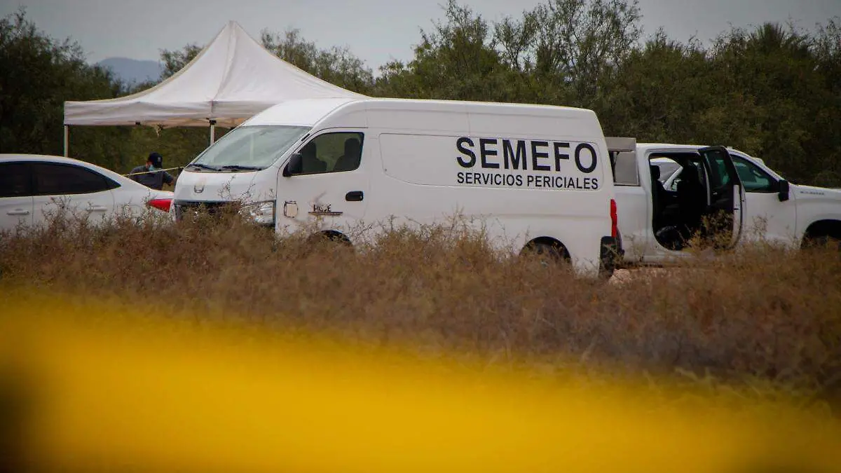 785a16c9-9e40-4cf0-ac95-eb0f9bbb3255