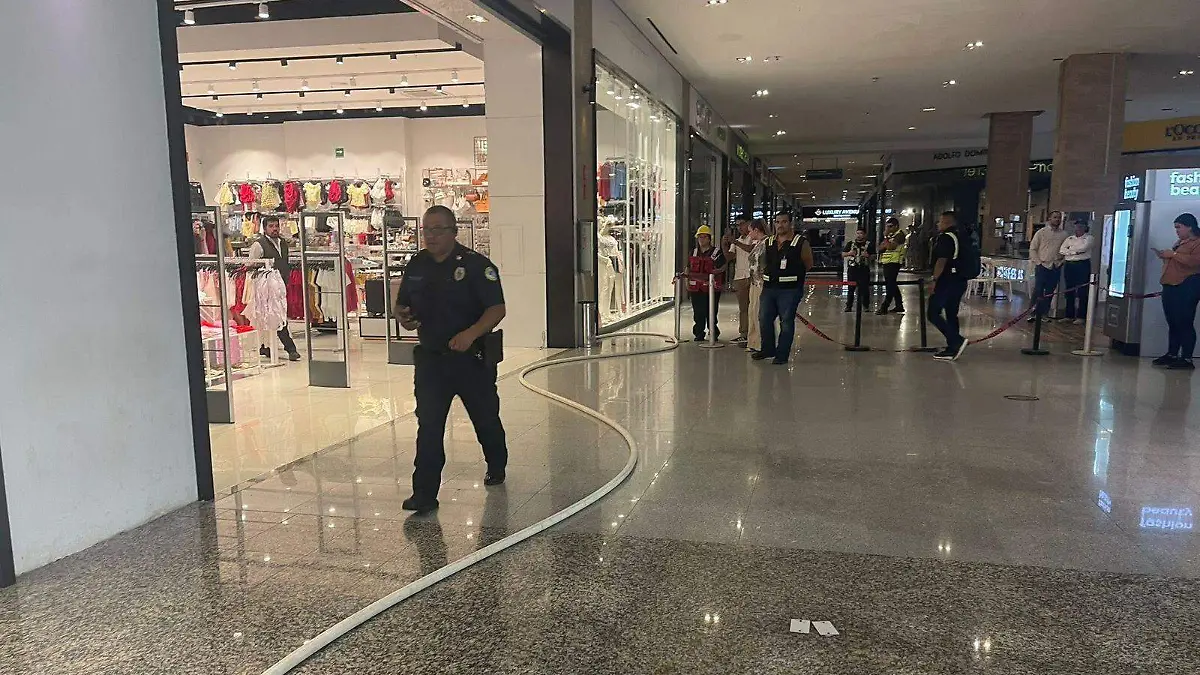 WhatsApp Image 2026-04-11 at 3.14.41 PM