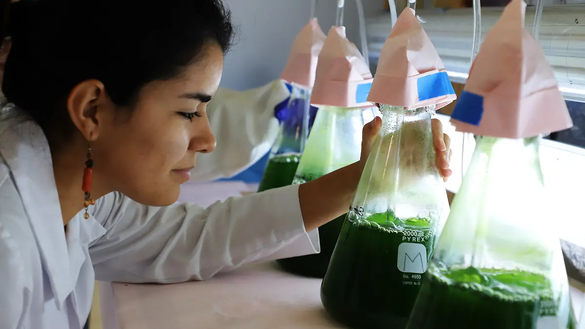 Añadir un título - 2026-04-12T121047.278