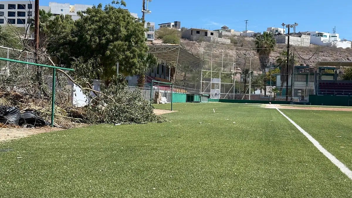 Campo de Beisbol esterito
