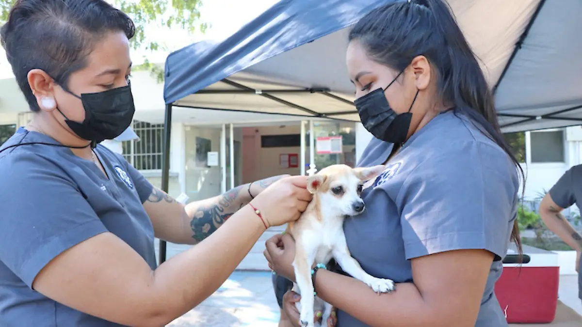 Añadir un título - 2026-04-12T204652.487