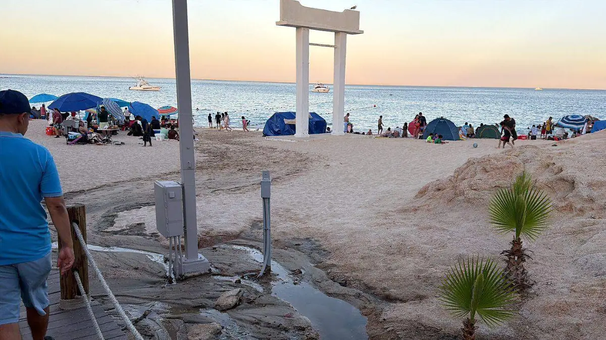 WhatsApp Image 2026-04-13 at 11.31.48 AM