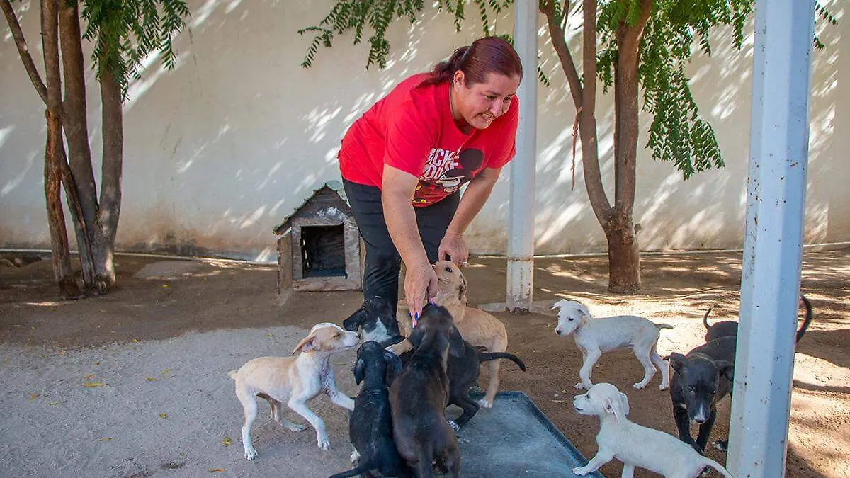 trabajadora-cemac-con-cachorros