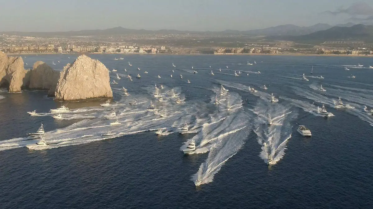 WhatsApp Image 2026-04-14 at 2.42.49 PM