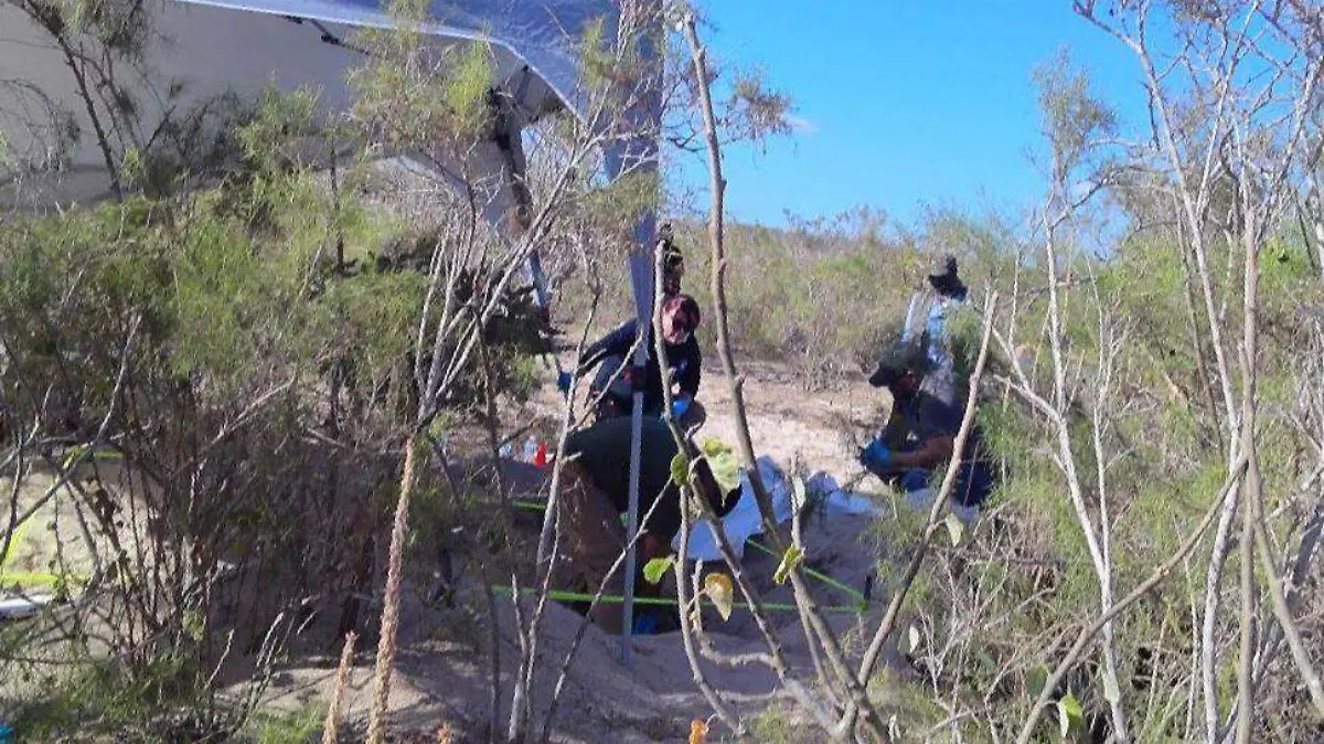 WhatsApp Image 2026-04-15 at 7.08.29 PM