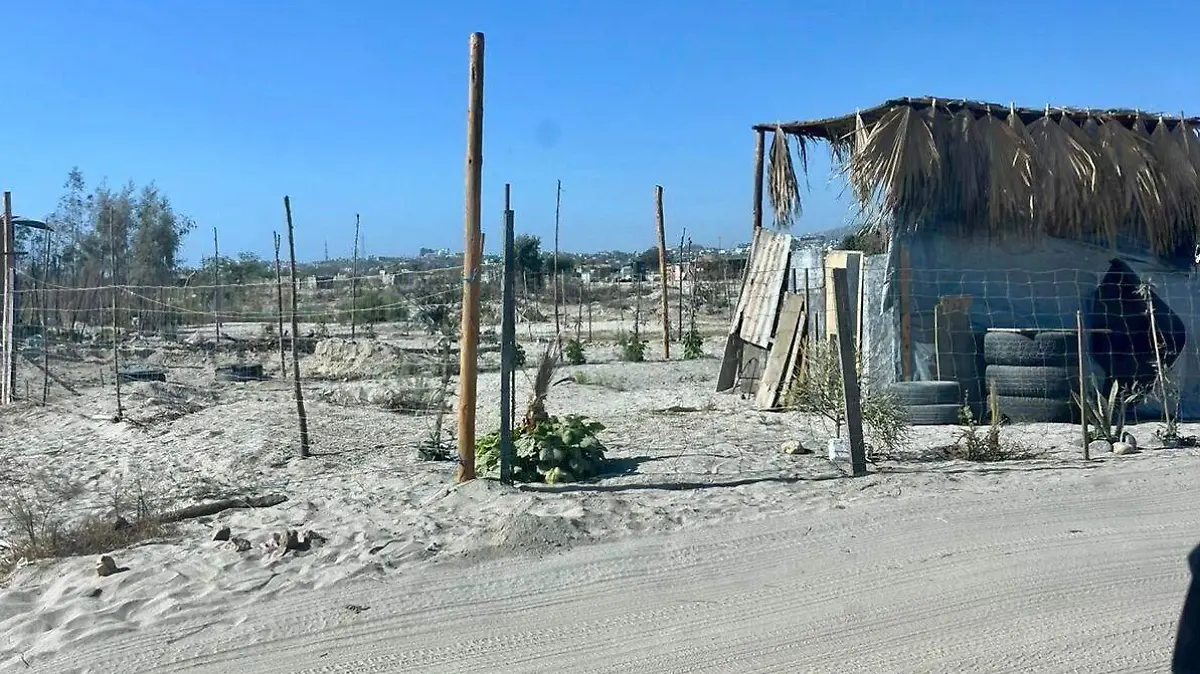 casa-madera-arroyo-san-jose-cabo
