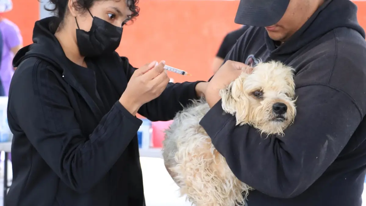 Añadir un título - 2026-04-17T141511.900