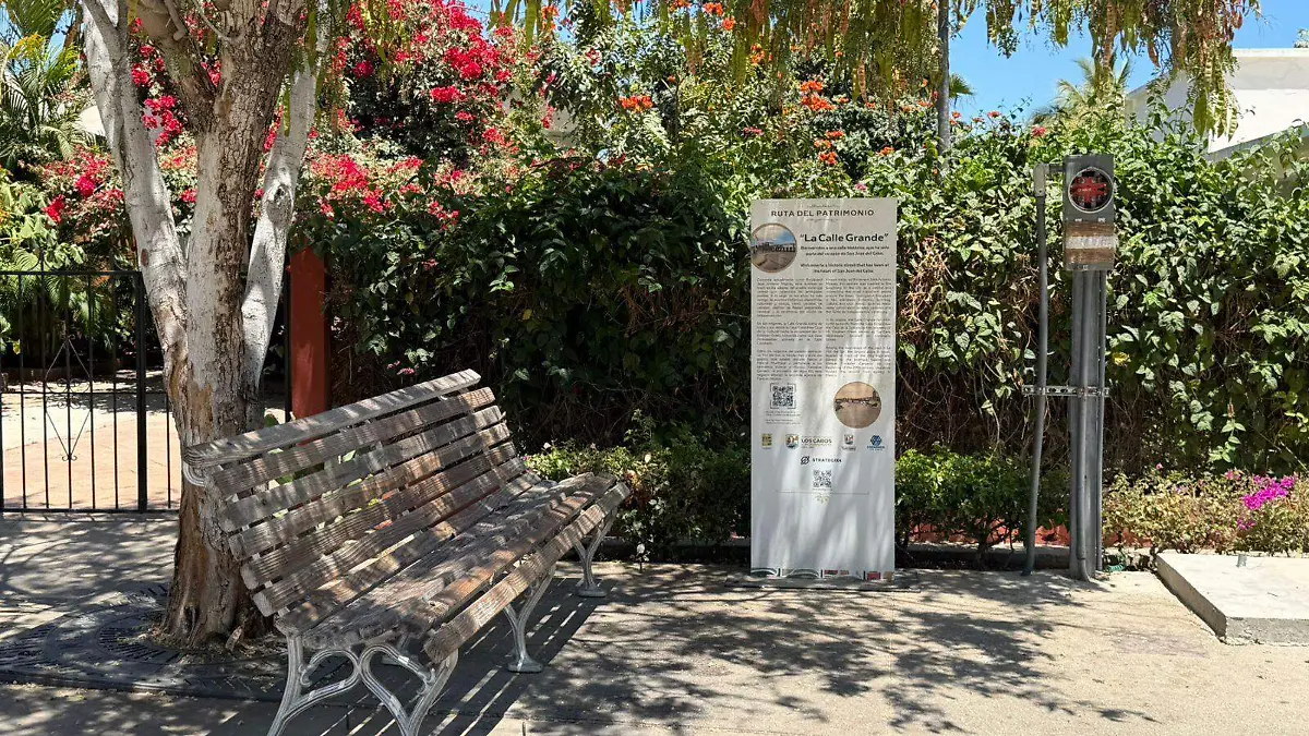 WhatsApp Image 2026-04-17 at 3.37.55 PM