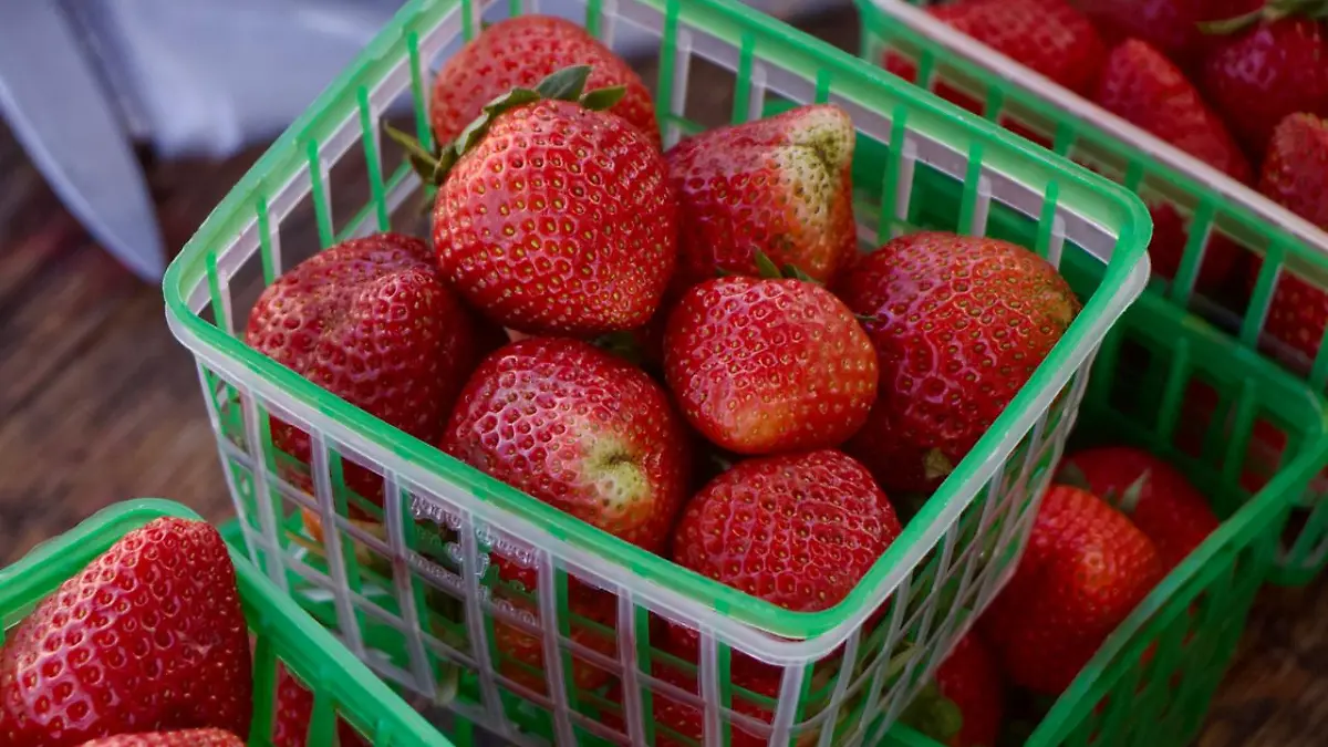 Añadir un título - 2026-04-18T142921.980