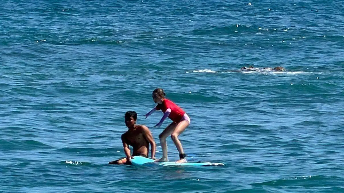 surfistas-practicanso-playa