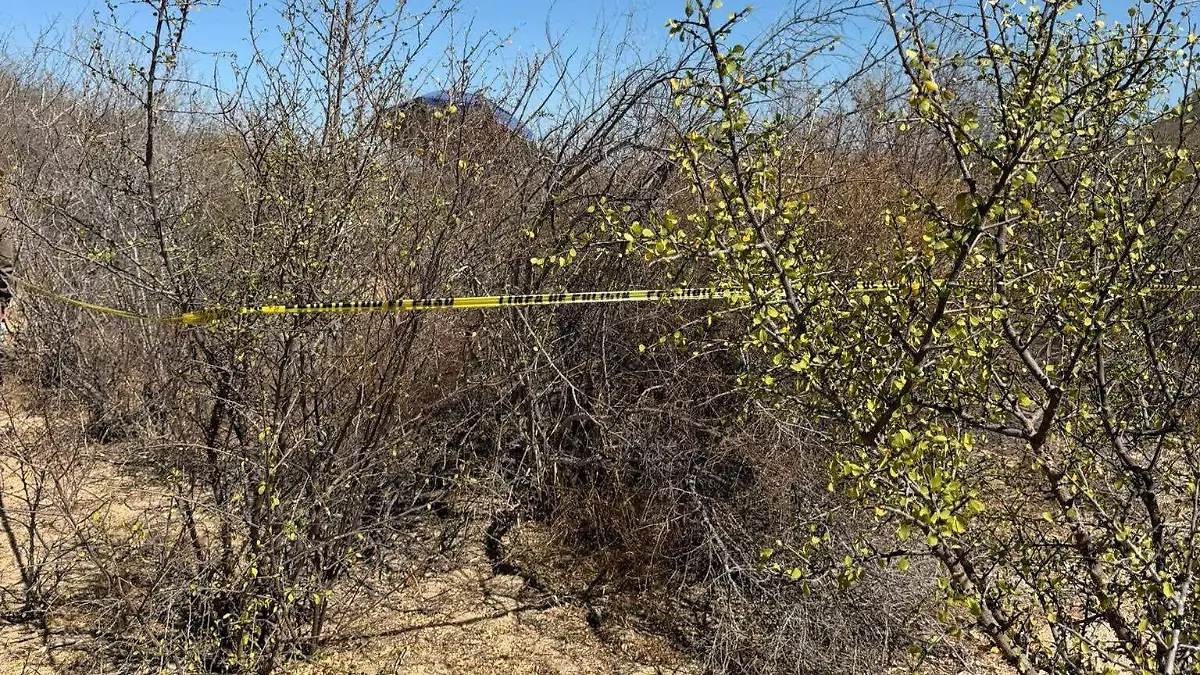 WhatsApp Image 2026-04-27 at 5.46.04 PM