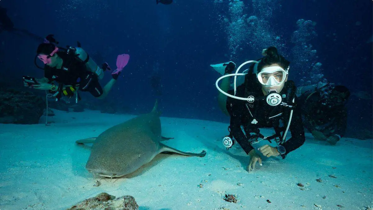 Mongabay entrevista buceo (11)