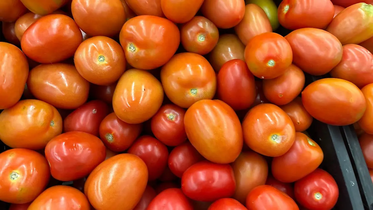 Tomate