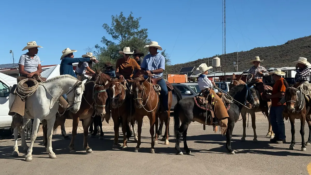 Caballos