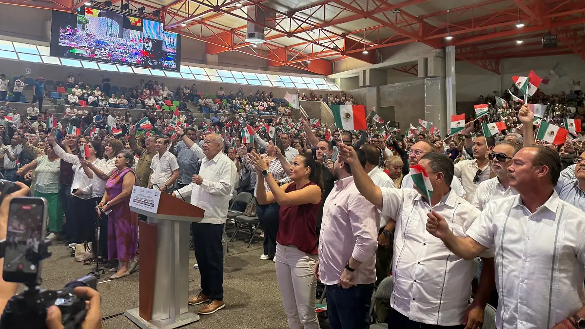 Informe arena