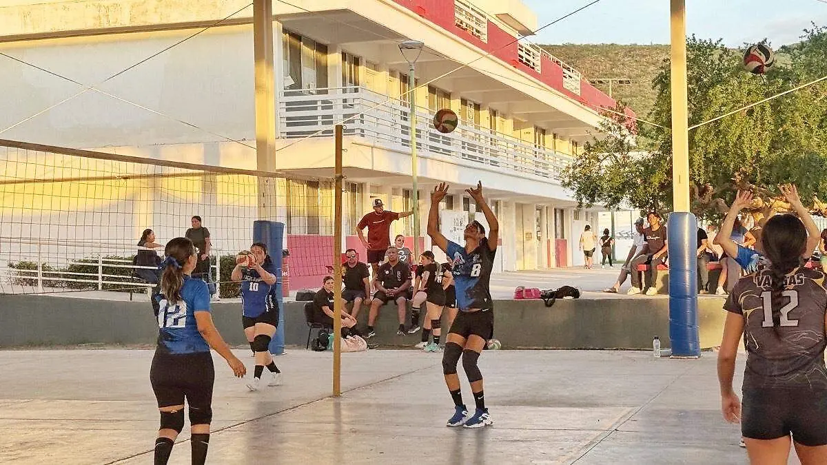 Partido voleibol