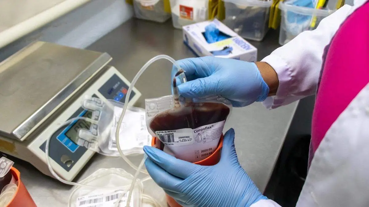 Procesamiento de sangre