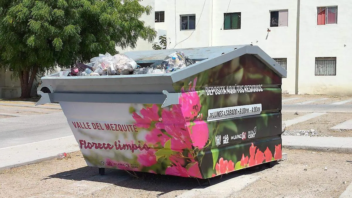 contenedor-de-basura-en-valle-del-mezquite