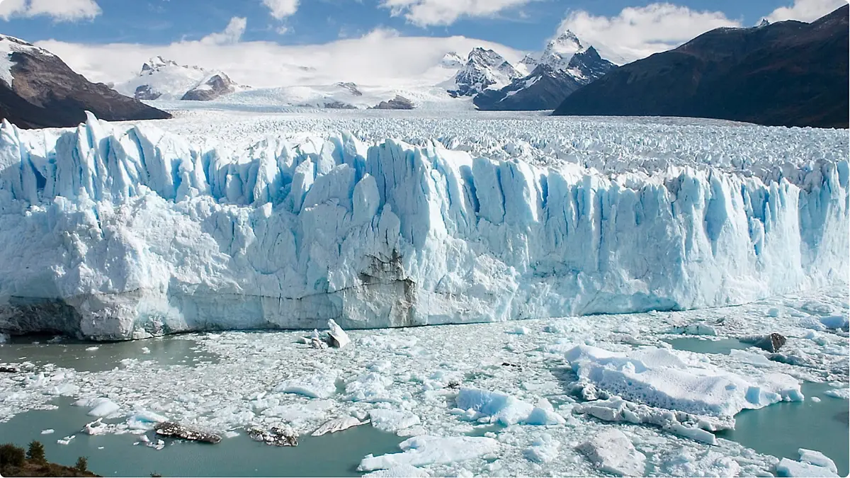 mongabay argent