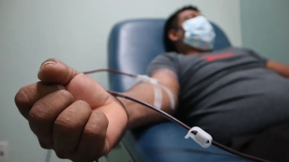 donador de sangre- cuartoscuro